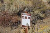 It would be a tough climb due to the deep sand, but a descent might work.