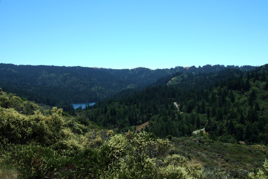 Climbing out of the Lagunitas Creek watershed.