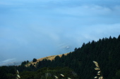 Hang glider flies above Stinson Beach.