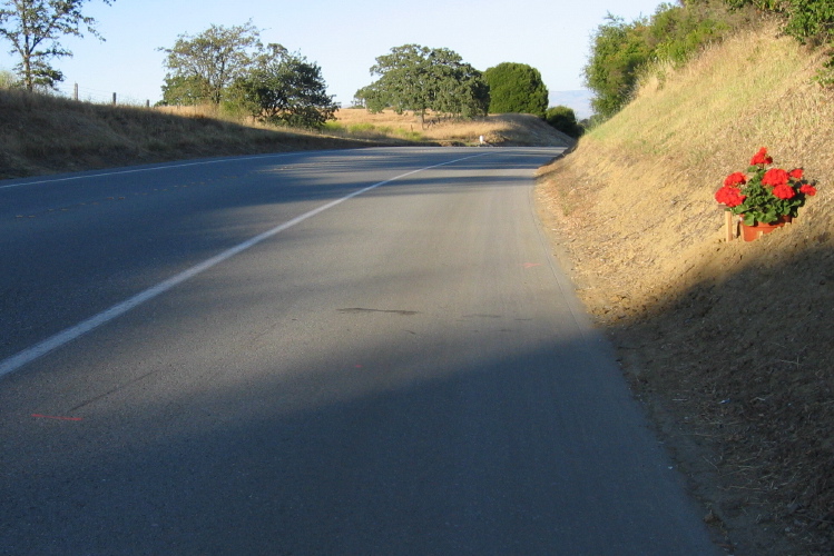 Marks near roadside memorial.