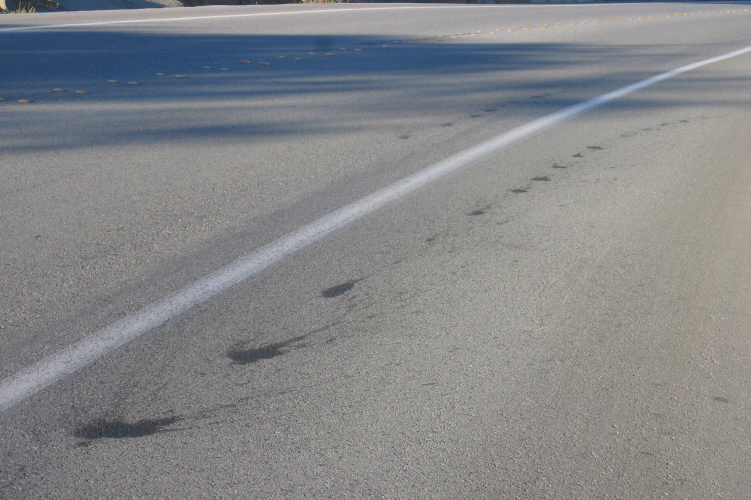Oil splats that look like skid marks from a distance.