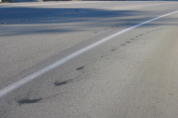 Oil splats that look like skid marks from a distance.