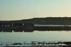 A UP freight train passes through Elkhorn Slough.