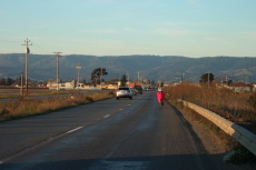Ron Bobb rides into Pajaro on Salinas Road.