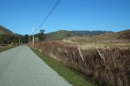 View up Tunitas Creek Road near the Bike Hut