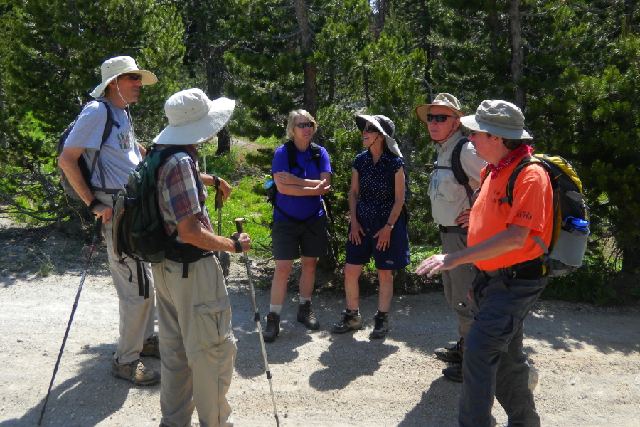The group discusses what to do next.