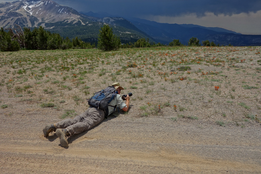 Brian goes for a low shot.