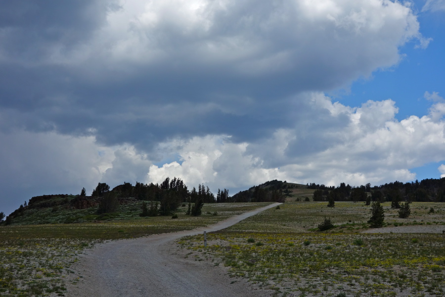 View back to the top of the ridge
