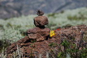 Charlie's stone memorial at the site