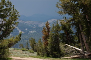 Rain falls over the Silver Divide.