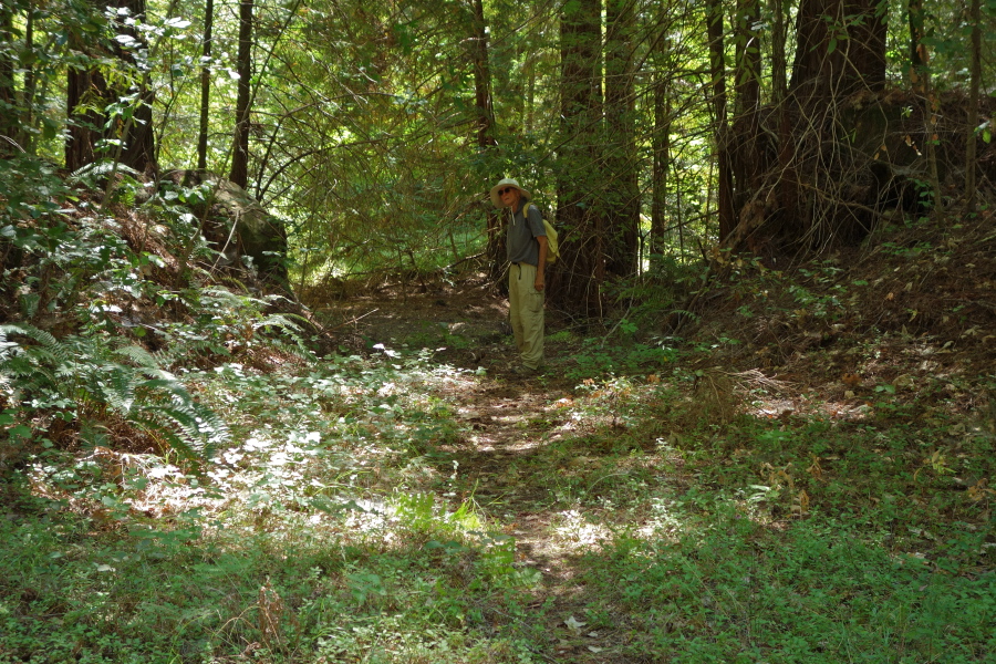 David on the use trail along the San Lorenzo River