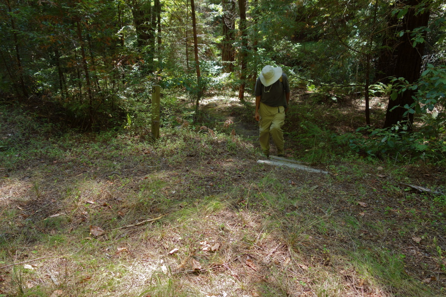 David hikes back up the steps from the river's bank.