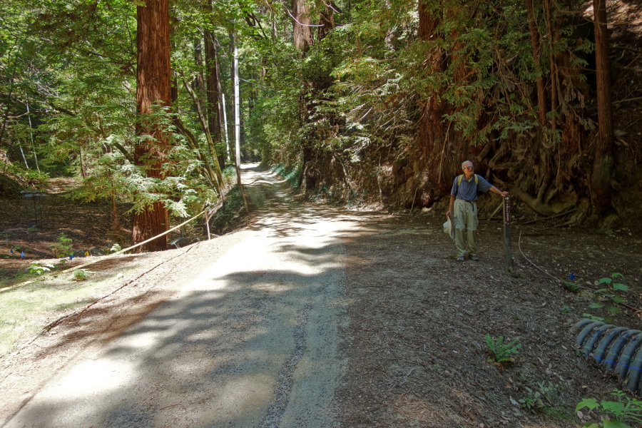 David at sign marking the spot where the Saratoga Toll Road diverges from a private driveway.