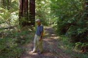 The use trail becomes an old road.