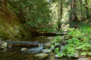 San Lorenzo River