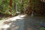 David at sign marking the spot where the Saratoga Toll Road diverges from a private driveway.