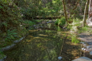 View downstream from the ford