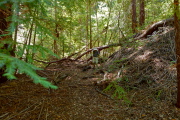 David heads down the unmaintained trail below the PG&E right-of-way.