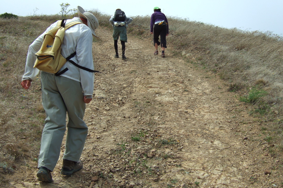 We press up a steep section of trail.