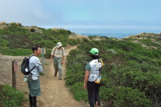 Regroup at the Ridge Trail and Summit Loop Trail