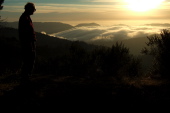 David admires the fog crashing over the hills around Big Basin.