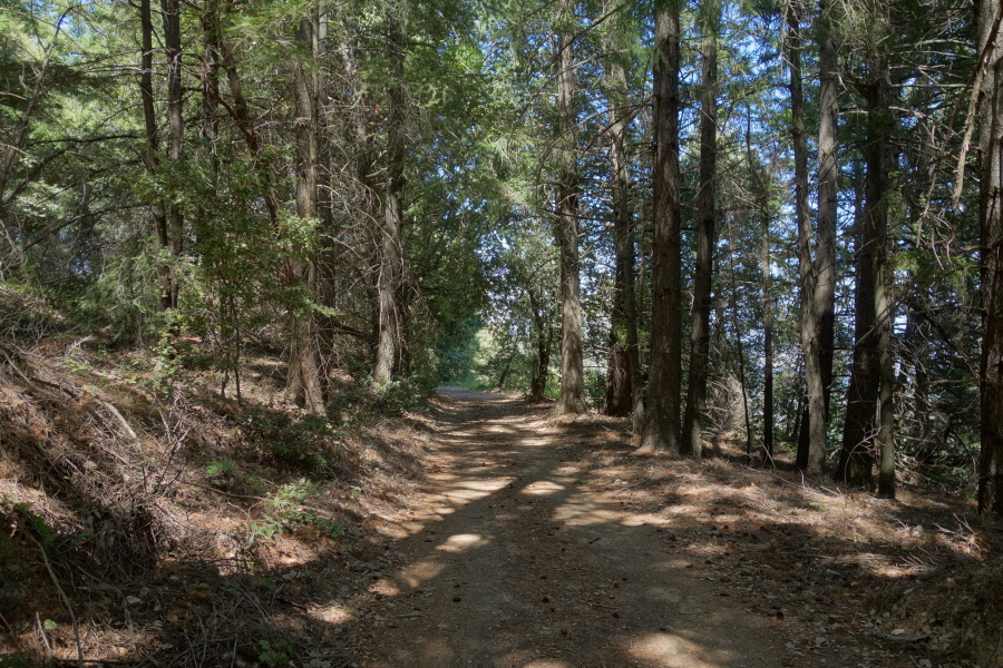 Nearing the viewspot and gate on trail 