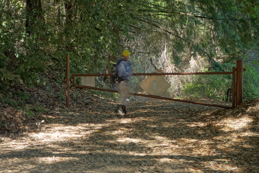 Bogdan looks past the gate on Trail 