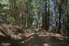 Nearing the viewspot and gate on trail