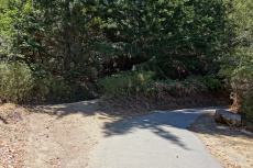 Trail