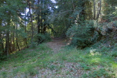 Our return route later in the day, the lower end of Bushwhack Road