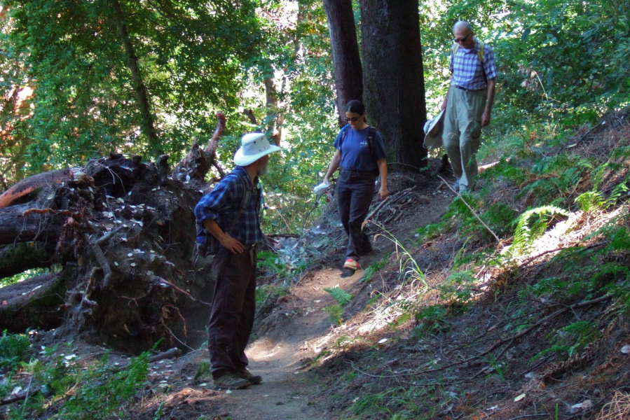 Hiking around a fallen tree