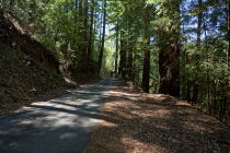 A cyclist climbs Mountain Charlie Road