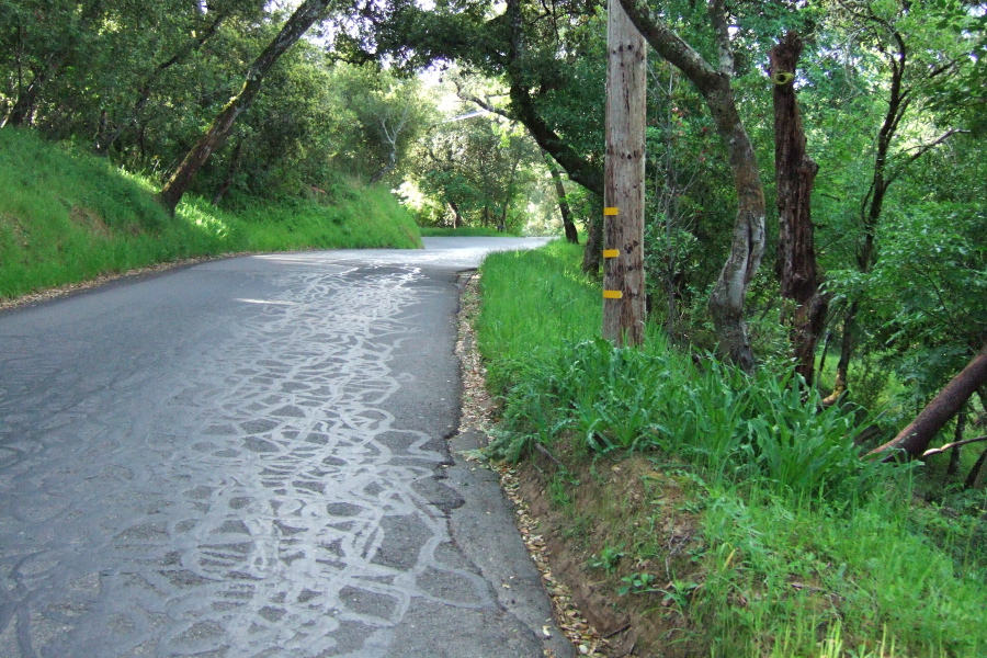 Climbing Old La Honda Rd.