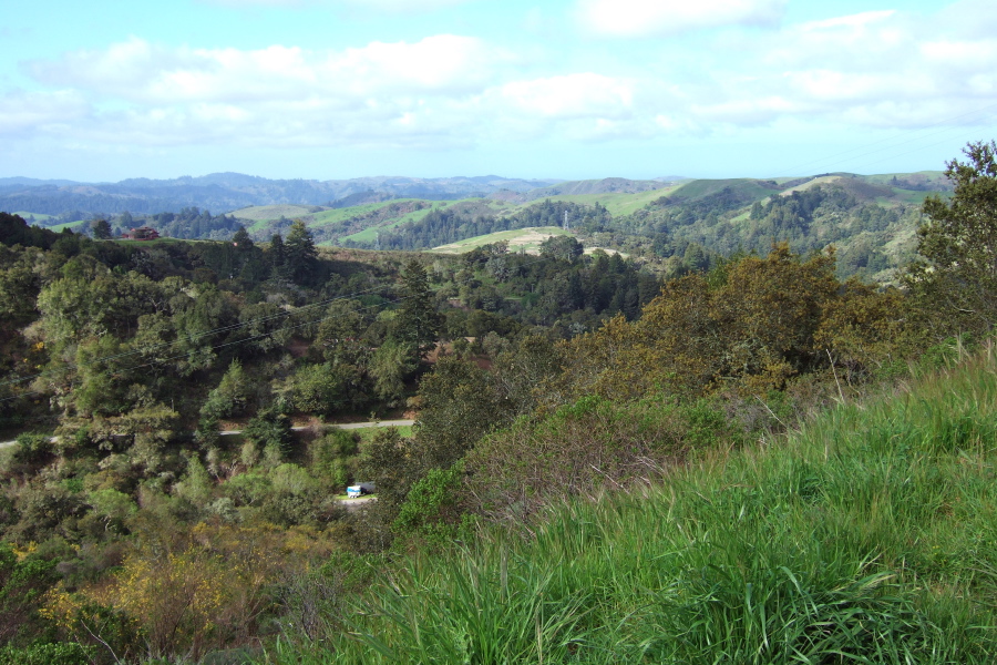View toward San Gregorio on Old La Honda Rd.