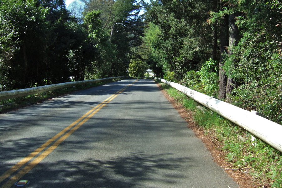El Rancho Rd. near Sims Rd.