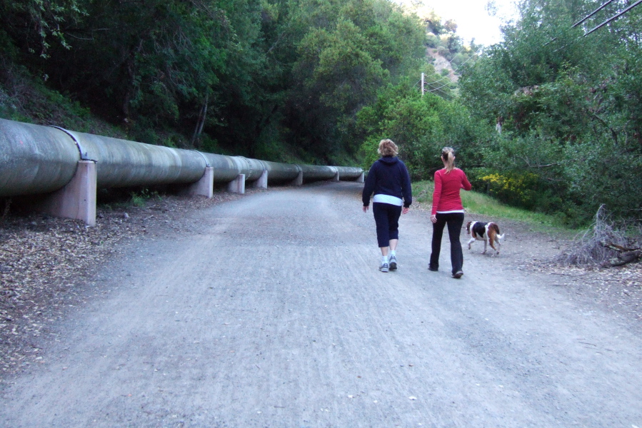 This is the easy part of the Los Gatos Creek Trail.