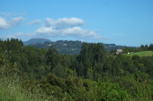 Loma Prieta from Mtn. Charlie Rd.