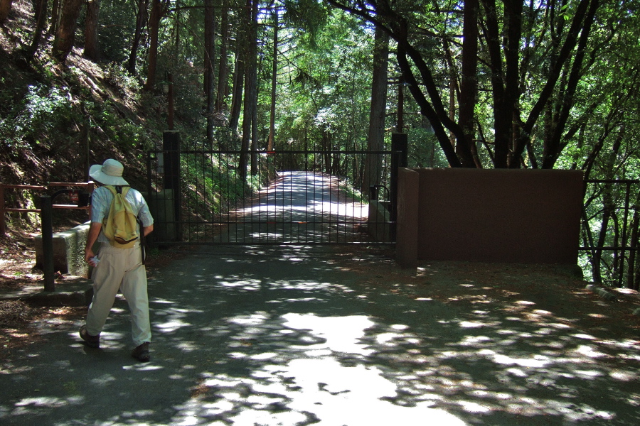 David heads for the gate walkaround.