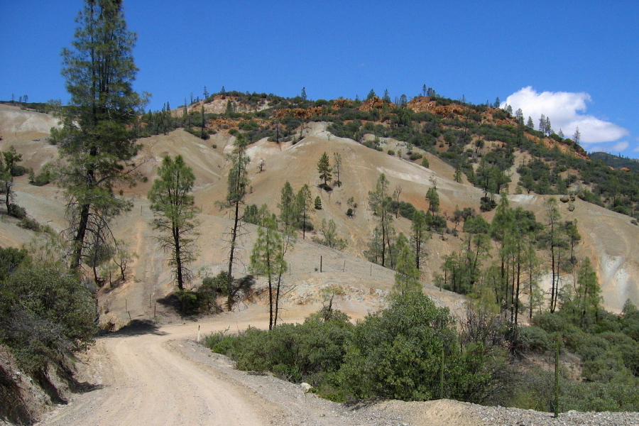 Clear Creek Rd.: mine tailings choking the vegetation. (3000ft)