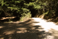 South Butano Trail (left); Camp Cutter (right) (2265ft)
