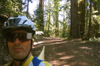 South Butano Fire Trail (1569ft)