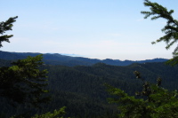 South Butano Fire Trail (1640ft)
