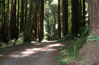 Old Haul Rd. riding east, near Wurr Rd. (300ft)