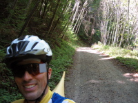 More birches on Old Haul Rd. (380ft)