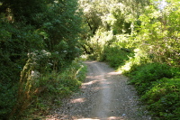 Alpine Rd. (east) (1880ft)