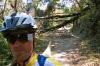 For once I don't have to duck! (1780ft)