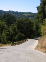 Alpine Rd., back onto pavement (1160ft)