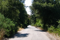 Climbing China Grade Rd. (2020ft)