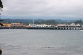 Santa Cruz Municipal Pier (foreground) and Boardwalk (background) (10ft)