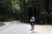 CA9 through Henry Cowell Redwoods (300ft)